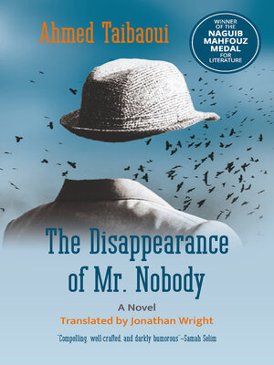 cover image of The Disappearance of Mr. Nobody